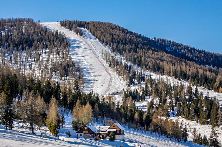 Vakantiehuis Chalet Amsel