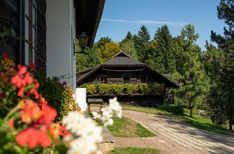 Appartement Felsenfest