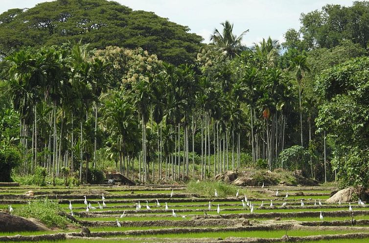 Jetwing Kaduruketha