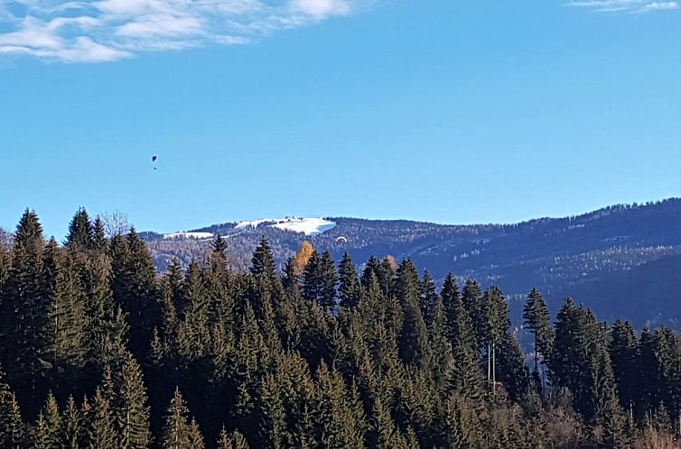 Ferienwohnung Mangartblick