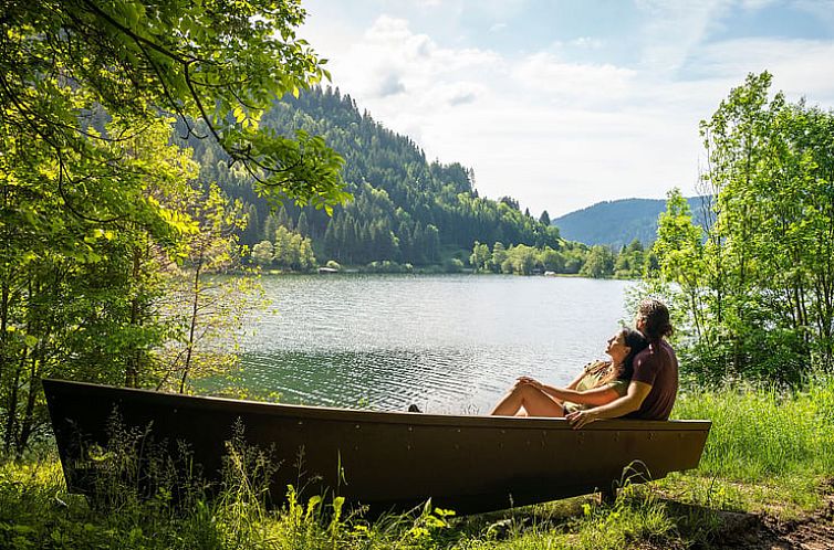 Vakantiehuis in Feld am See