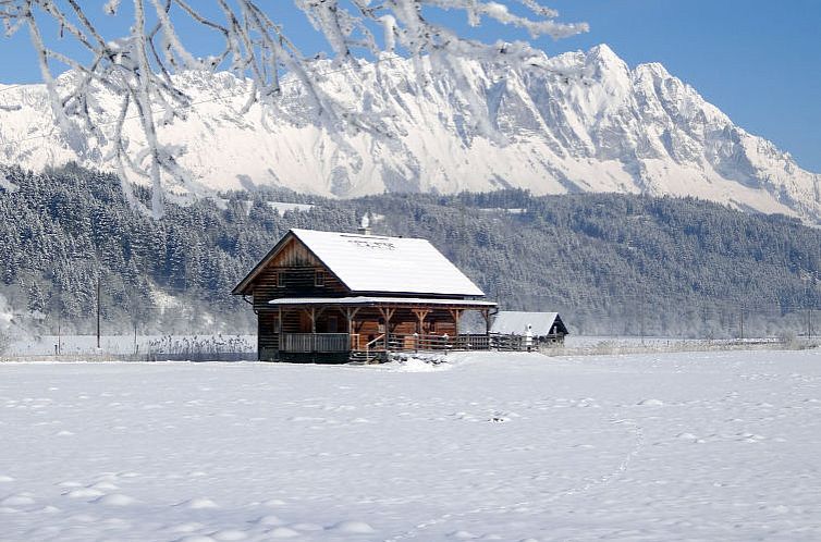 Vakantiehuis Steiners Blockhütte