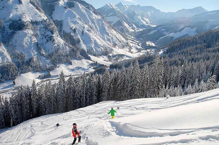 Steier Hütte