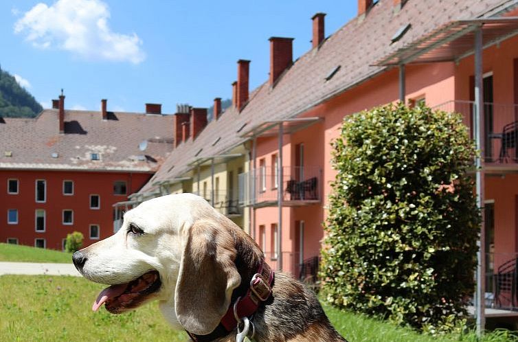 Appartement für bis zu 2 Personen