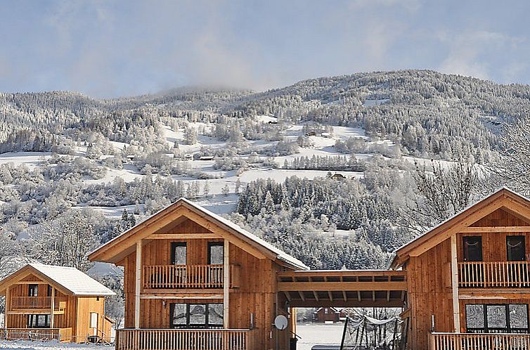 Vakantiehuis Chalet mit 4 Schlafzimmern