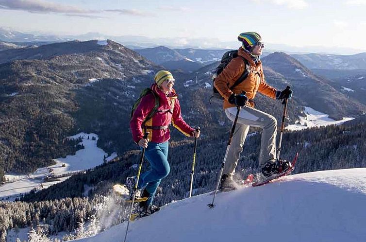 Almchalet Alpenglück