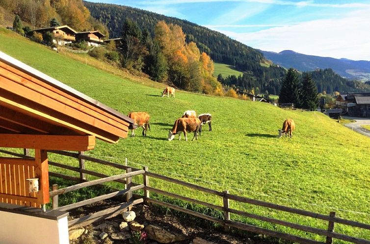 Chalet Brammetje