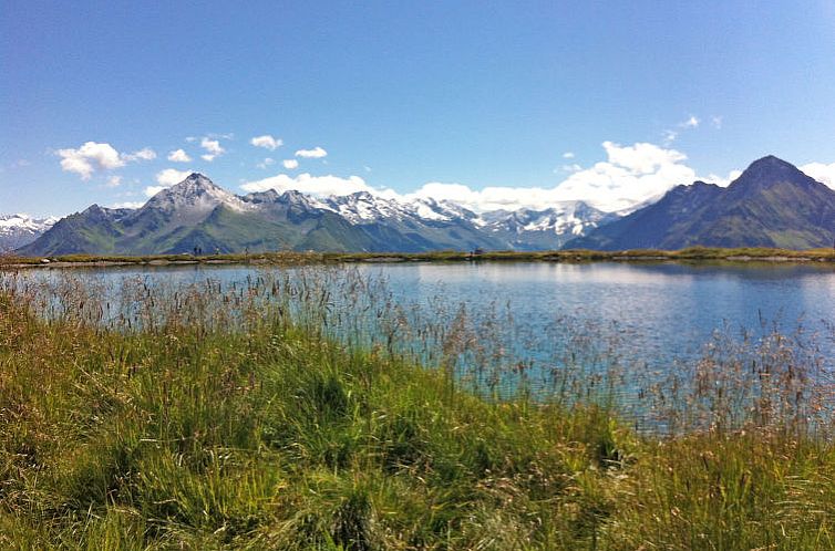 Appartement Alpenblick