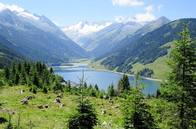 Appartement Alpenblick