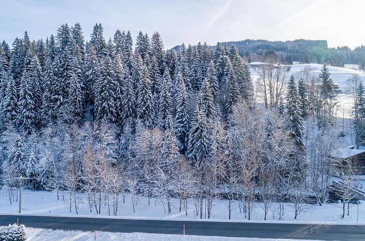 Blick auf den Rettenstein Top 1