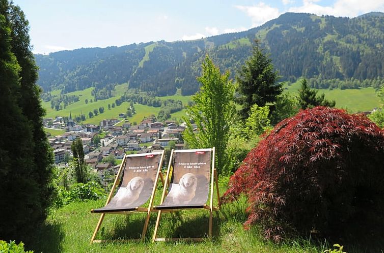 Vakantiehuisje in wildschoenau