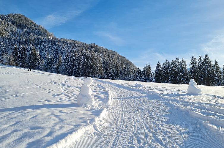 Appartement Alpine Residence Auszeit