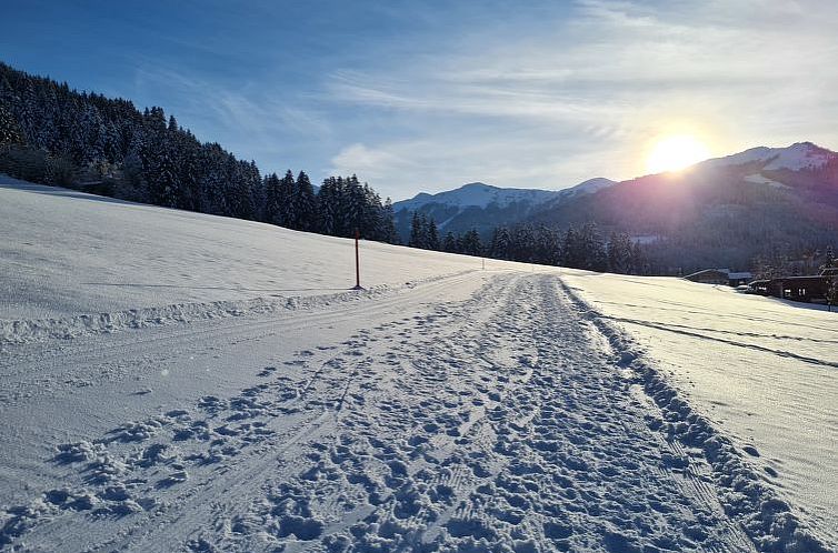 Appartement Alpine Residence Auszeit