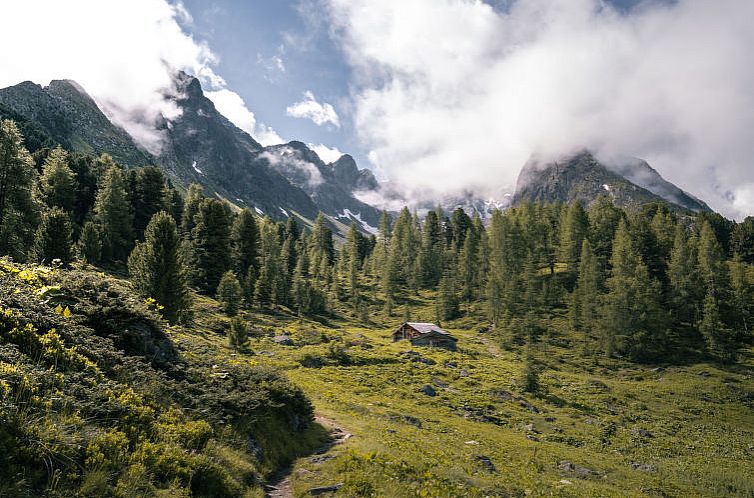 Appartement Alpenflora