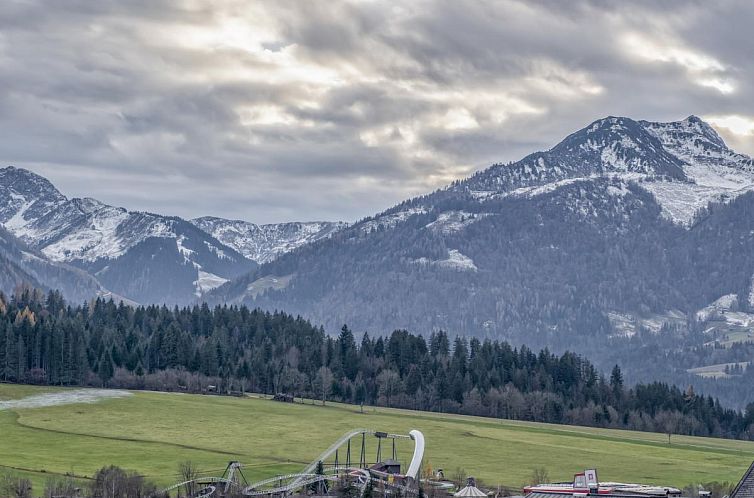 Berg und Blüte I