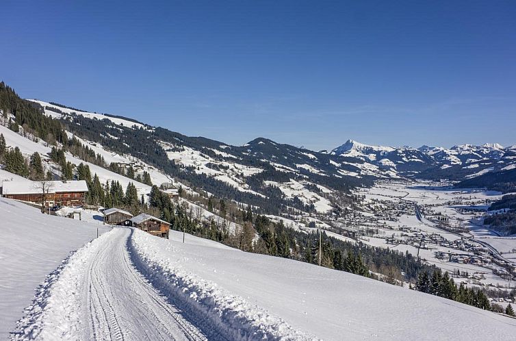 Troadstadl Brixentalblick