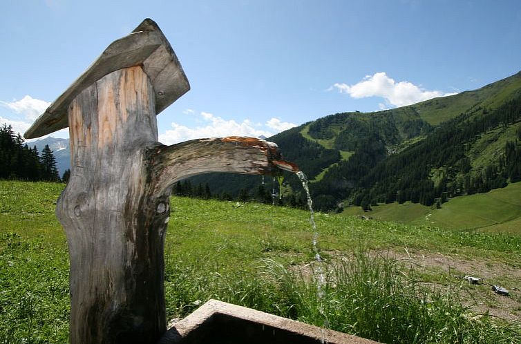 Vakantiehuis Simonhütte