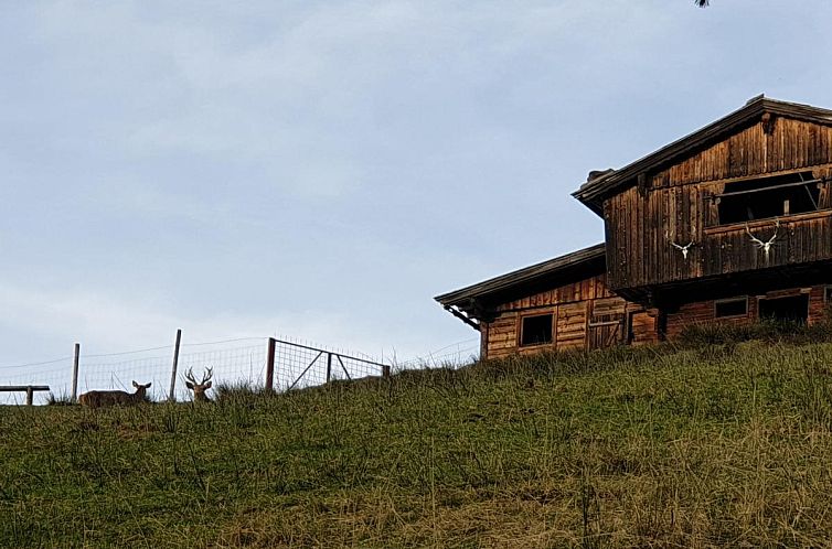 Sonnenhütte unten