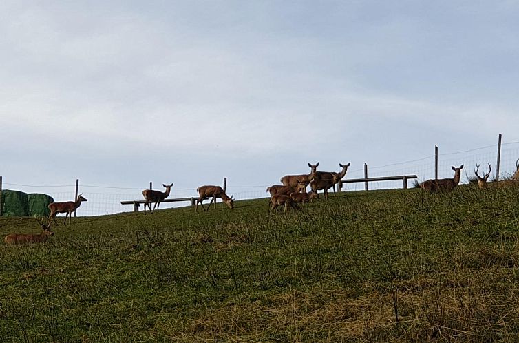 Sonnenhütte unten