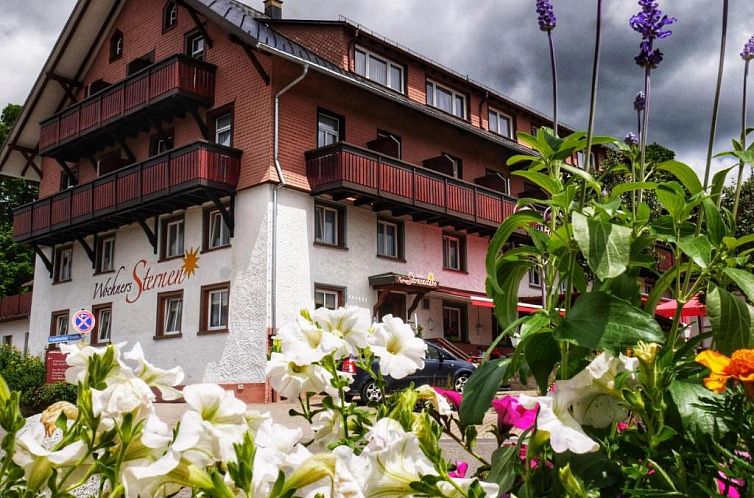 Wochner's Hotel-Sternen Am Schluchsee Hochschwarzwald