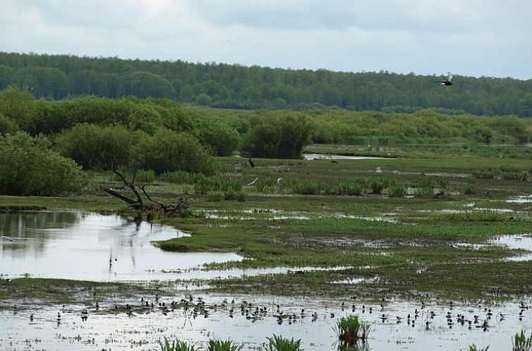 Vakantiehuisje in Dolistowo Stare