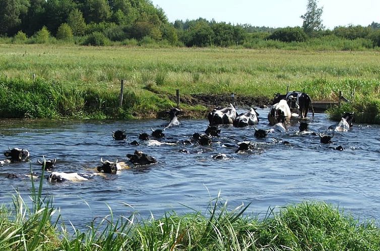 Vakantiehuisje in Dolistowo Stare