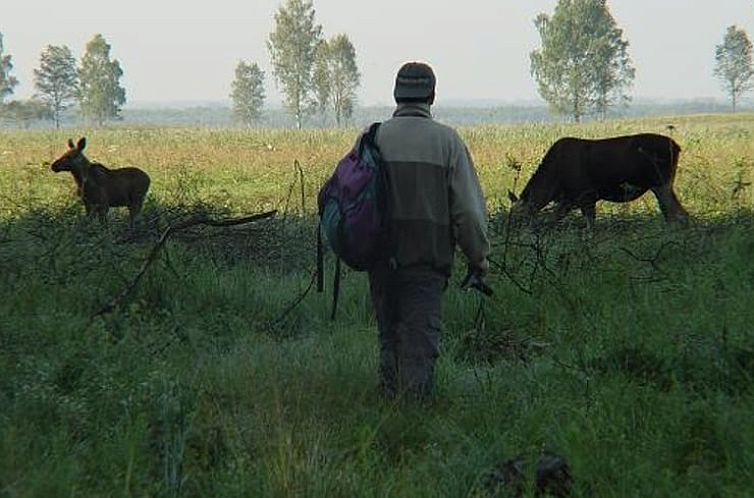 Vakantiehuisje in Dolistowo Stare