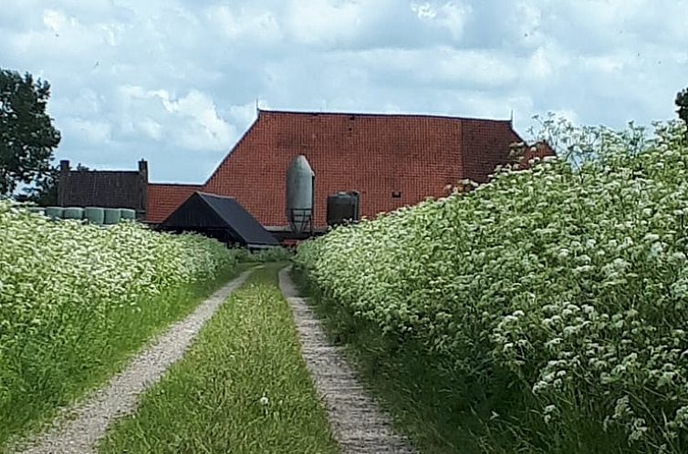 Huisje in Goingarijp