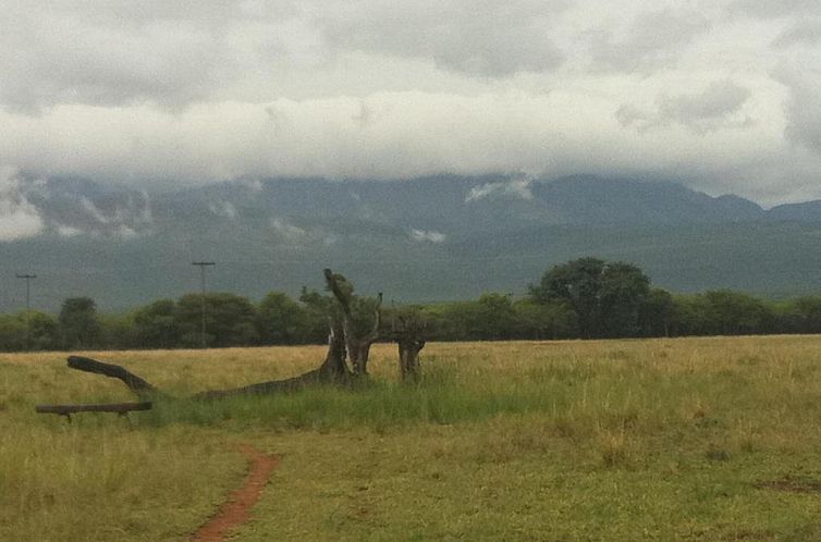 Boschfontein Guest Farm