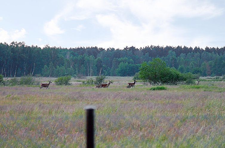 Vakantiehuis Zakątek Ventus II