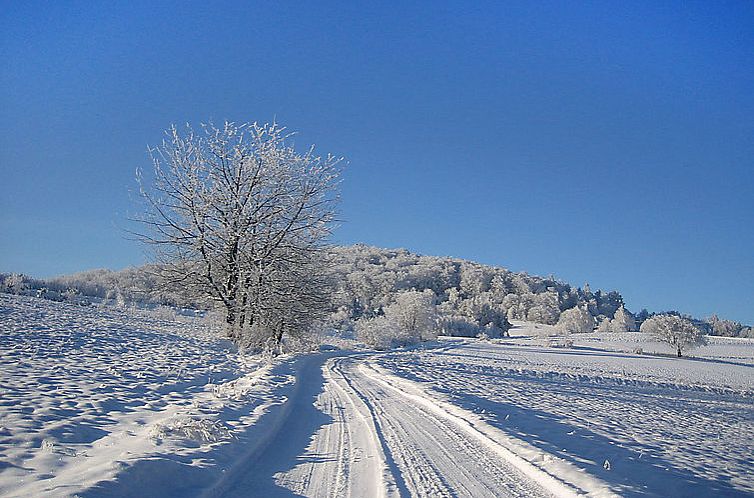 Vakantiehuis Nad Soliną