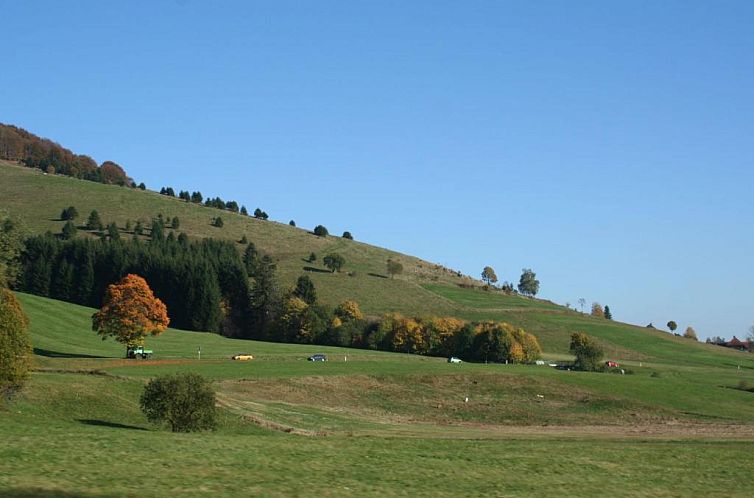 Modern Apartment in Gutenbach with Forest Nearby