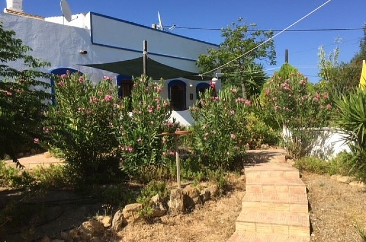 Casa Palmeira-Casa Geco.