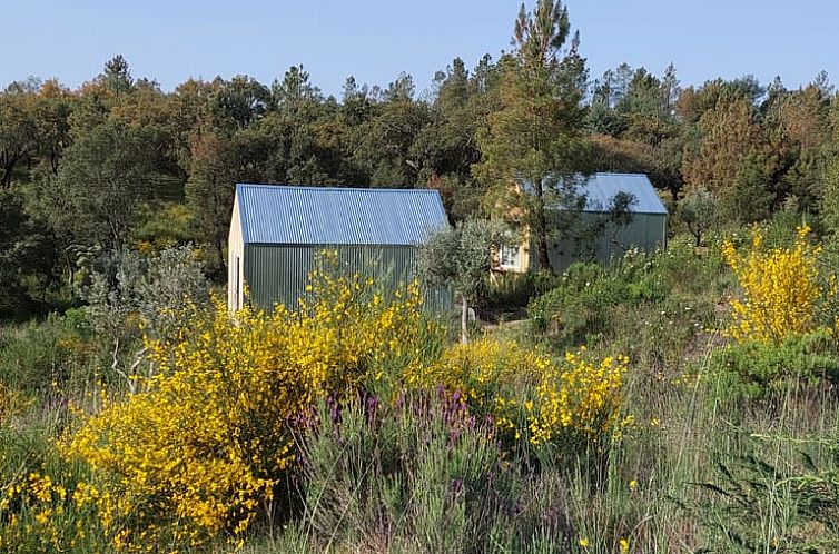 Vakantiehuis in Salgueiro do Campo