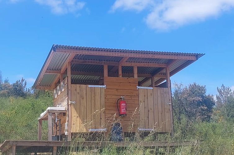 Vakantiehuis in Salgueiro do Campo