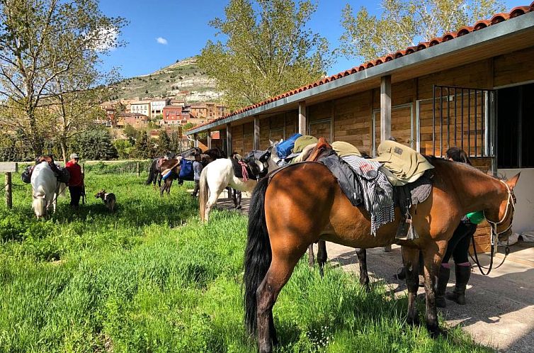 Albergue Rosalia / Pilgrim Hostel