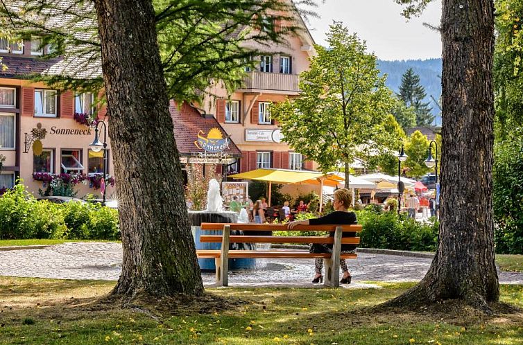 Sonneneck Hotel & Restaurant mit Terrasse - Titisee (Adults 