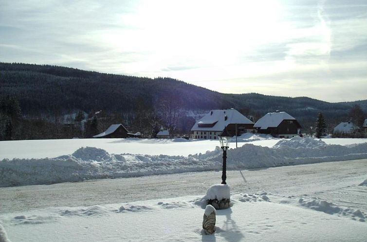 Hotel Rheingold Garni