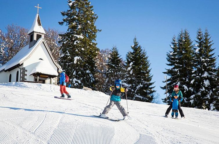 Alemannenhof - Boutique Hotel am Titisee