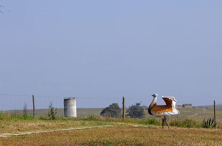 Vakantiehuisje in Ourique