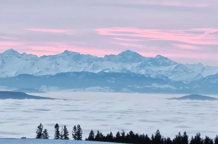 Bio- und Wellnesshotel Alpenblick