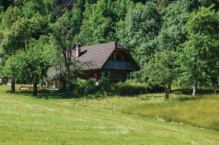 Vakantiehuis in Bohinjska Bela