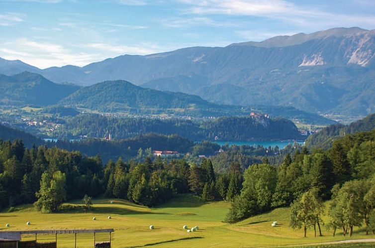 Vakantiehuis in Bohinjska Bela