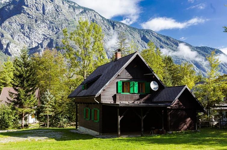 Vakantiehuis in Bohinj