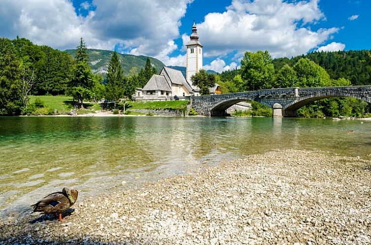 Vakantiehuis in Bohinj