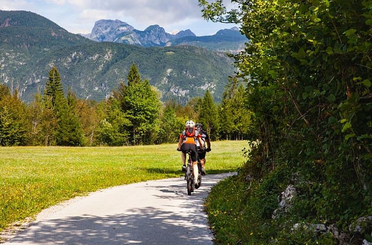 Vakantiehuis in Bohinj