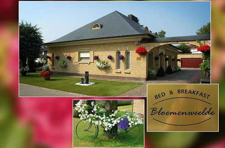 B&B Bloemenweelde