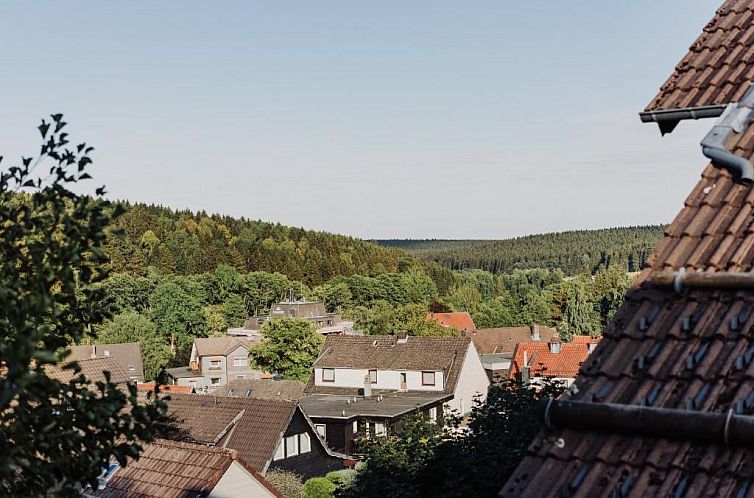 Hexe I - mit Blick auf den Wurmberg