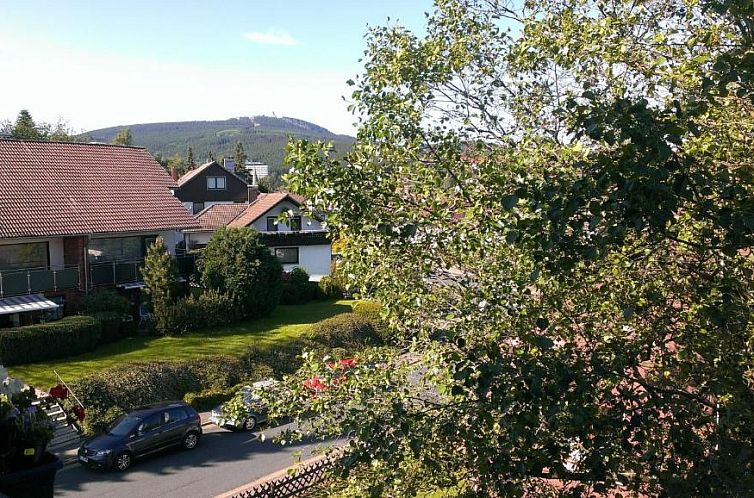 Hexe I - mit Blick auf den Wurmberg