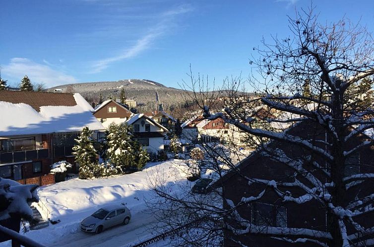 Hexe I - mit Blick auf den Wurmberg